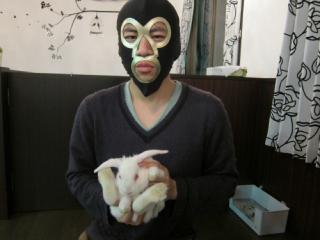 Illustration for article titled A Visit to Japan's Bunny Cafes